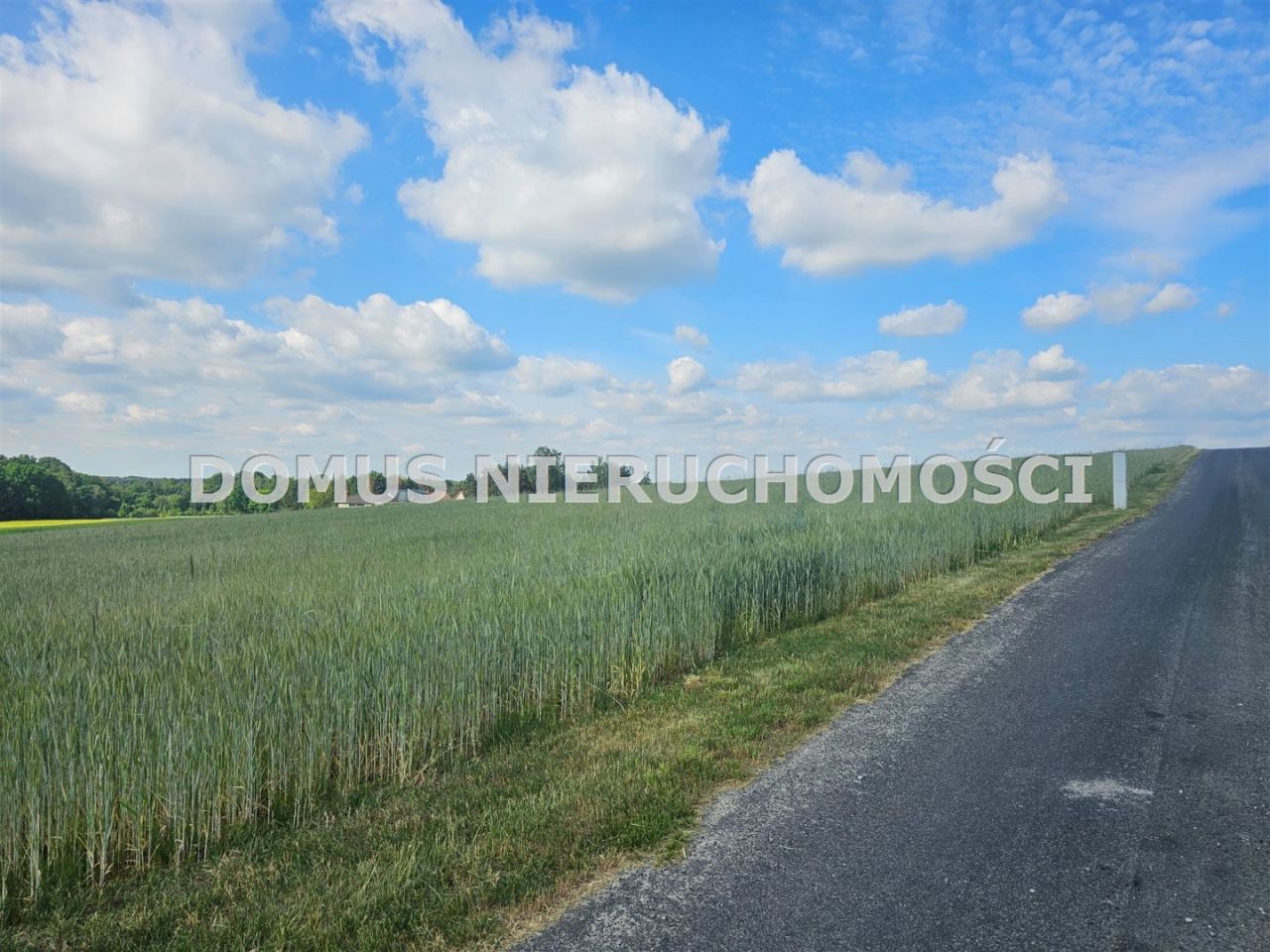 Działka Tworzyjanki. Zdjęcie 7