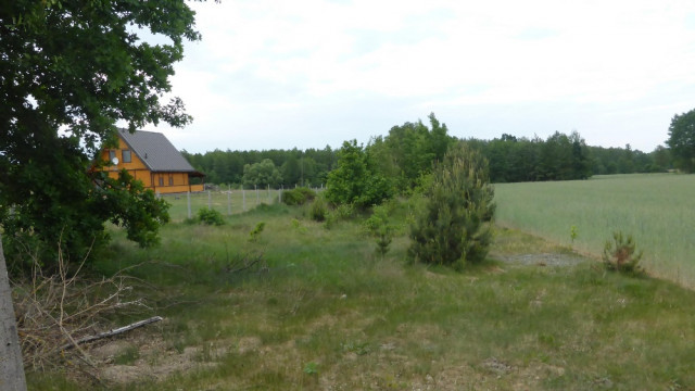 Działka rolno-budowlana Siekierka Nowa. Zdjęcie 1