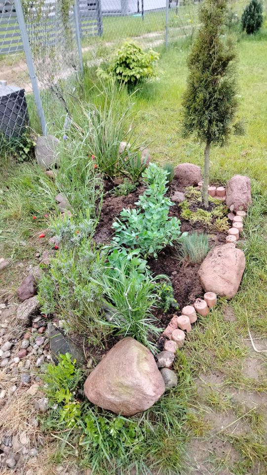 Działka rekreacyjna Radzynek. Zdjęcie 28