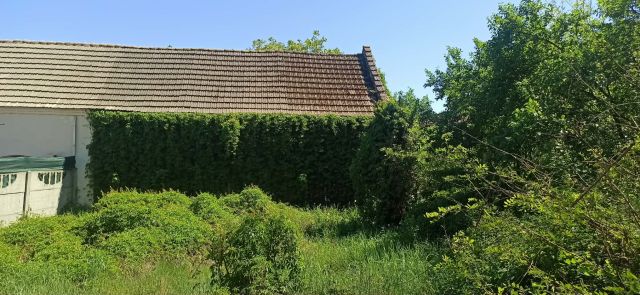 bliźniak, 2 pokoje Pęckowo, ul. Wieleńska. Zdjęcie 1