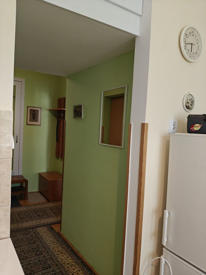 Mieszkanie 1-pokojowe Warszawa Wola, ul. Nowolipki. Zdjęcie 9
