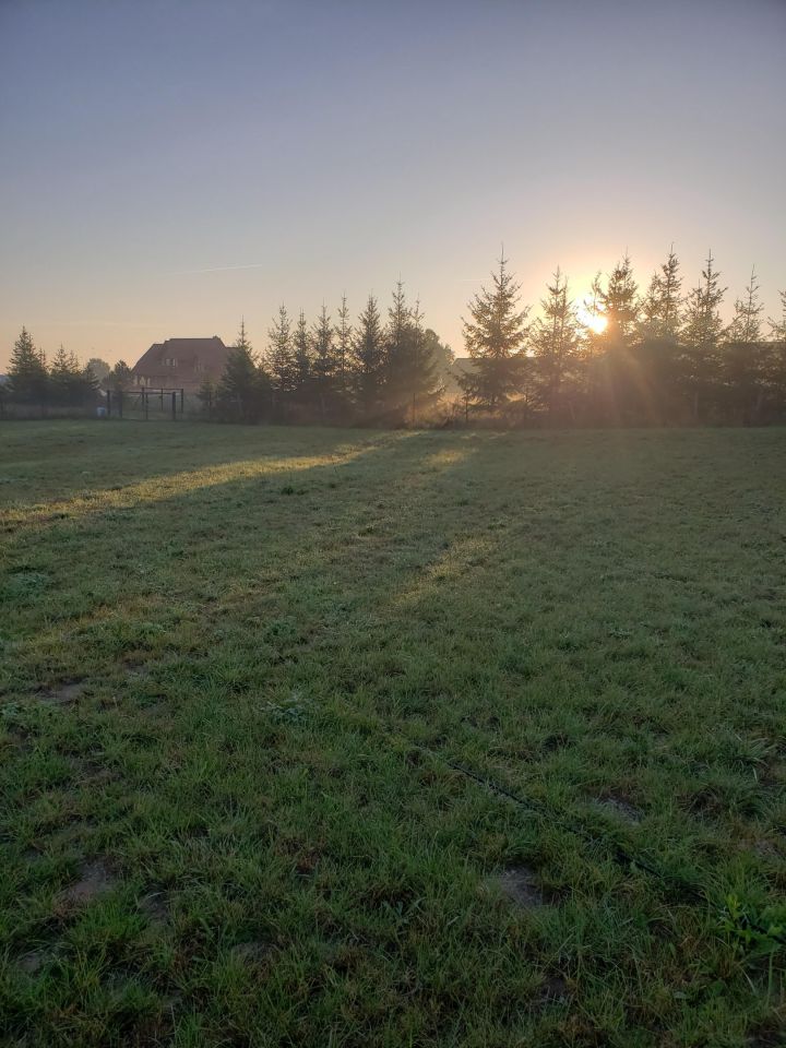 Działka budowlana Stare Sady. Zdjęcie 9