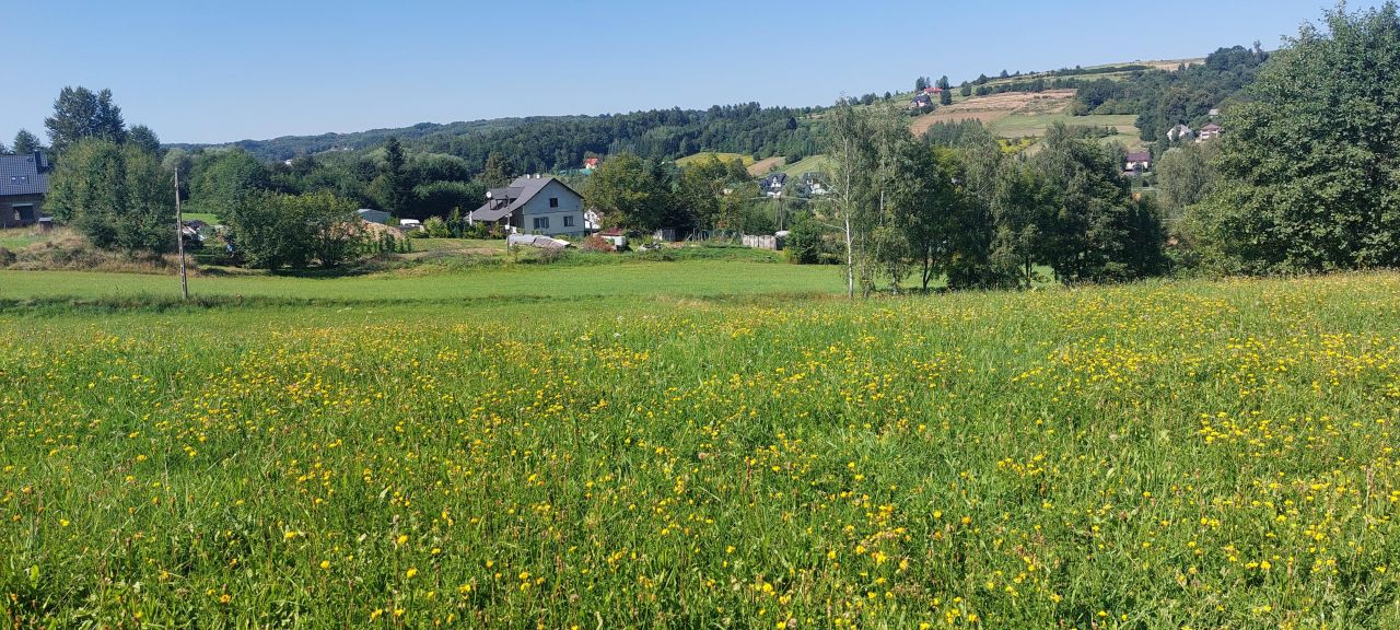 Działka budowlana Borek Stary Podklasztor. Zdjęcie 6