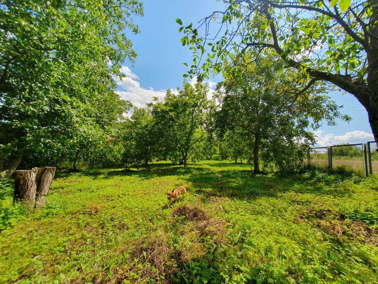 Działka rolno-budowlana Roźwienica. Zdjęcie 7