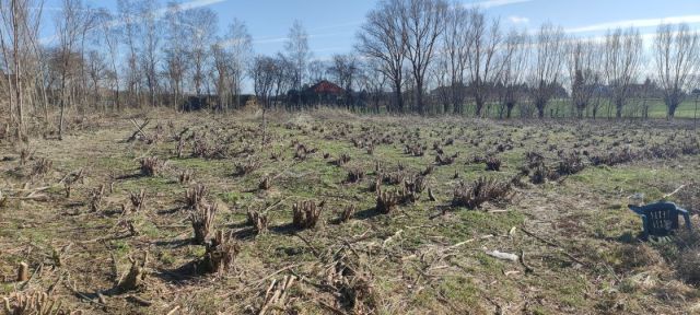 Działka budowlana Przybroda. Zdjęcie 1