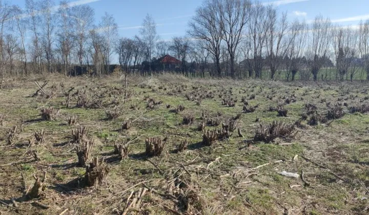 Działka budowlana Przybroda