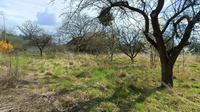 dom wolnostojący, 6 pokoi Czernica. Zdjęcie 9