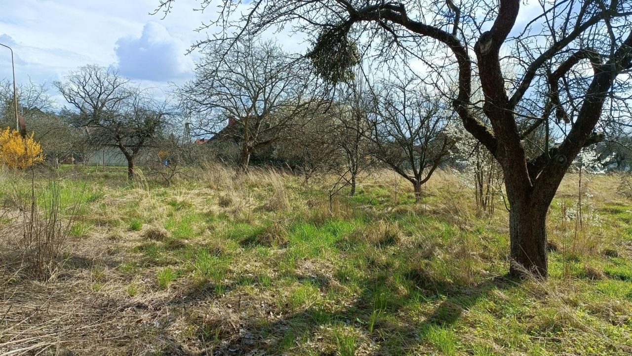 dom wolnostojący, 6 pokoi Czernica. Zdjęcie 9