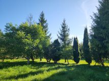 Działka rod Działdowo, ul. Romana Dmowskiego. Zdjęcie 3