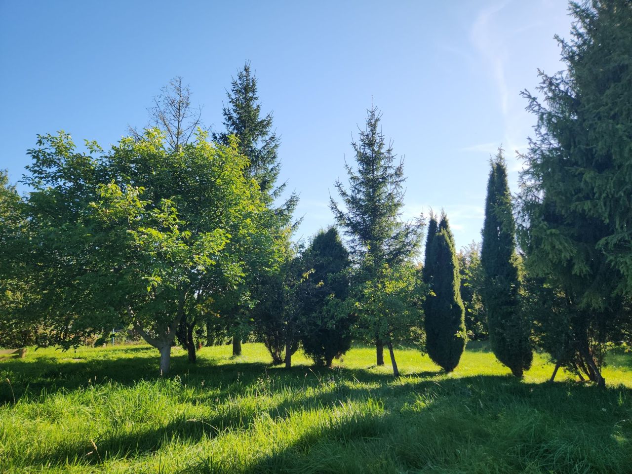 Działka rod Działdowo, ul. Romana Dmowskiego. Zdjęcie 4