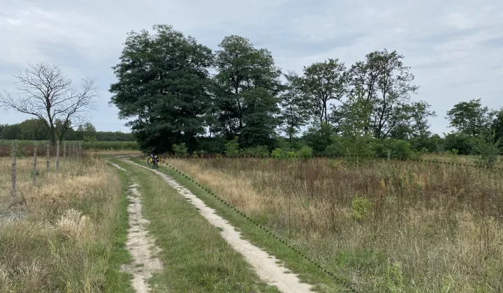 Działka budowlana Strzyżyna Gać