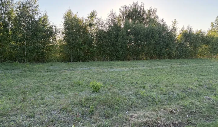 Działka budowlana Rusiec, ul. Koniczyny