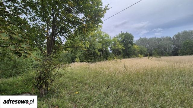Działka budowlana Olszewice. Zdjęcie 1