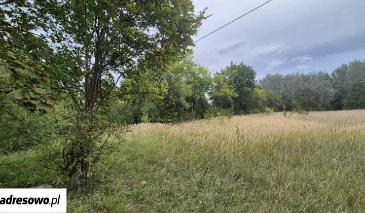 Działka budowlana Olszewice
