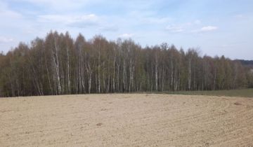 Działka leśna Pstrągowa Smykówki