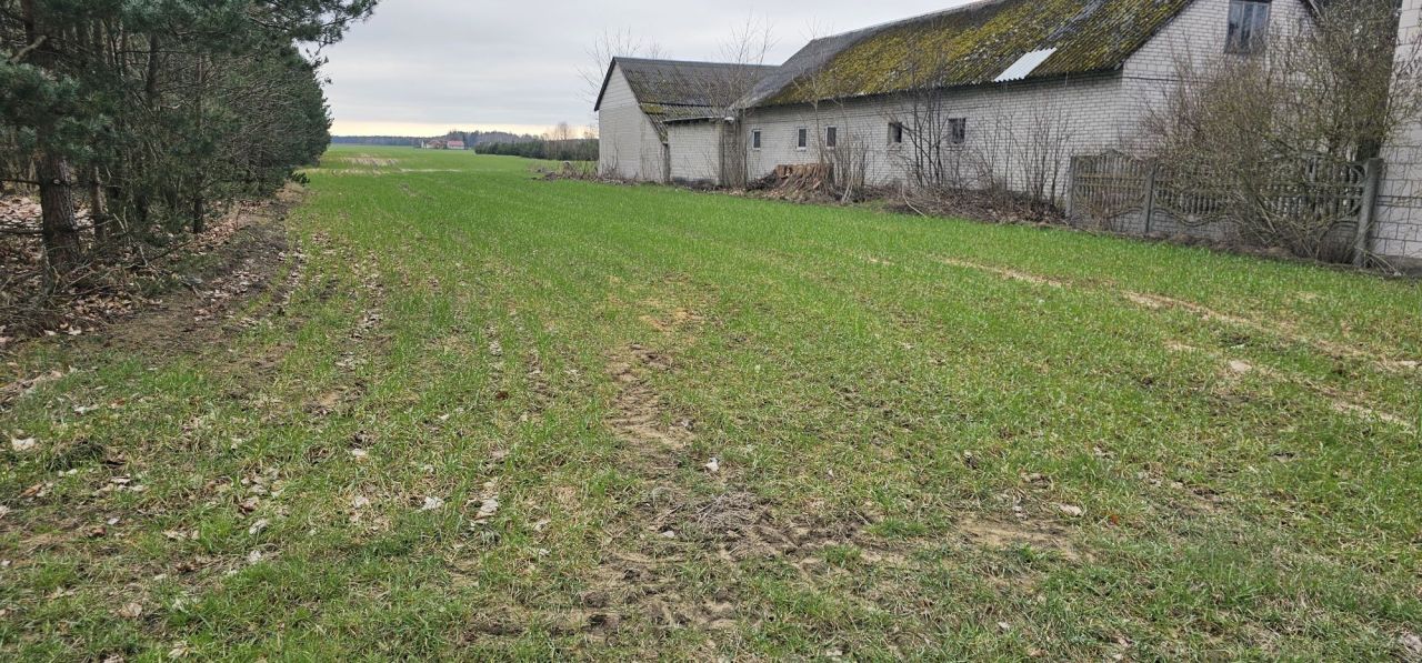 Działka rolno-budowlana Wojciechówka. Zdjęcie 2