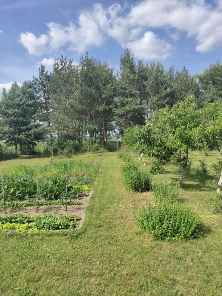 bliźniak, 4 pokoje Gracze, ul. Kolonia Robotnicza. Zdjęcie 10