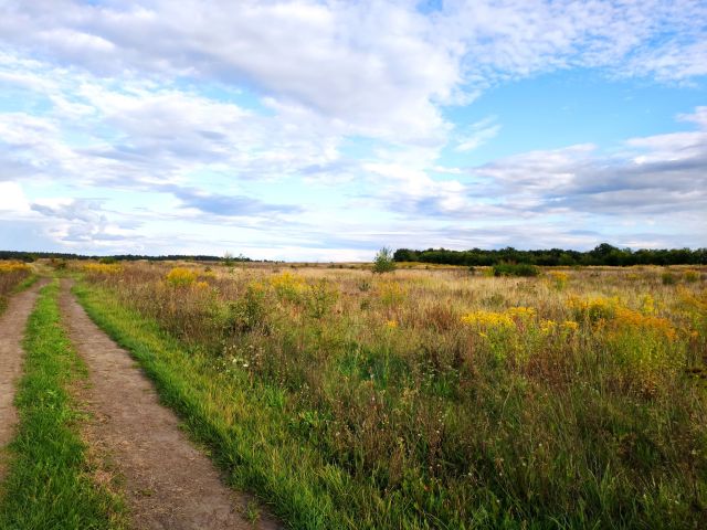 Działka budowlana Janczewo, ul. Długa. Zdjęcie 1