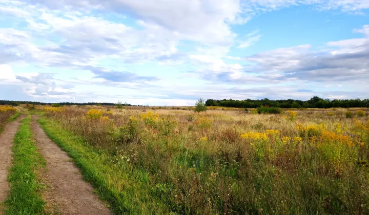 Działka budowlana Janczewo, ul. Długa