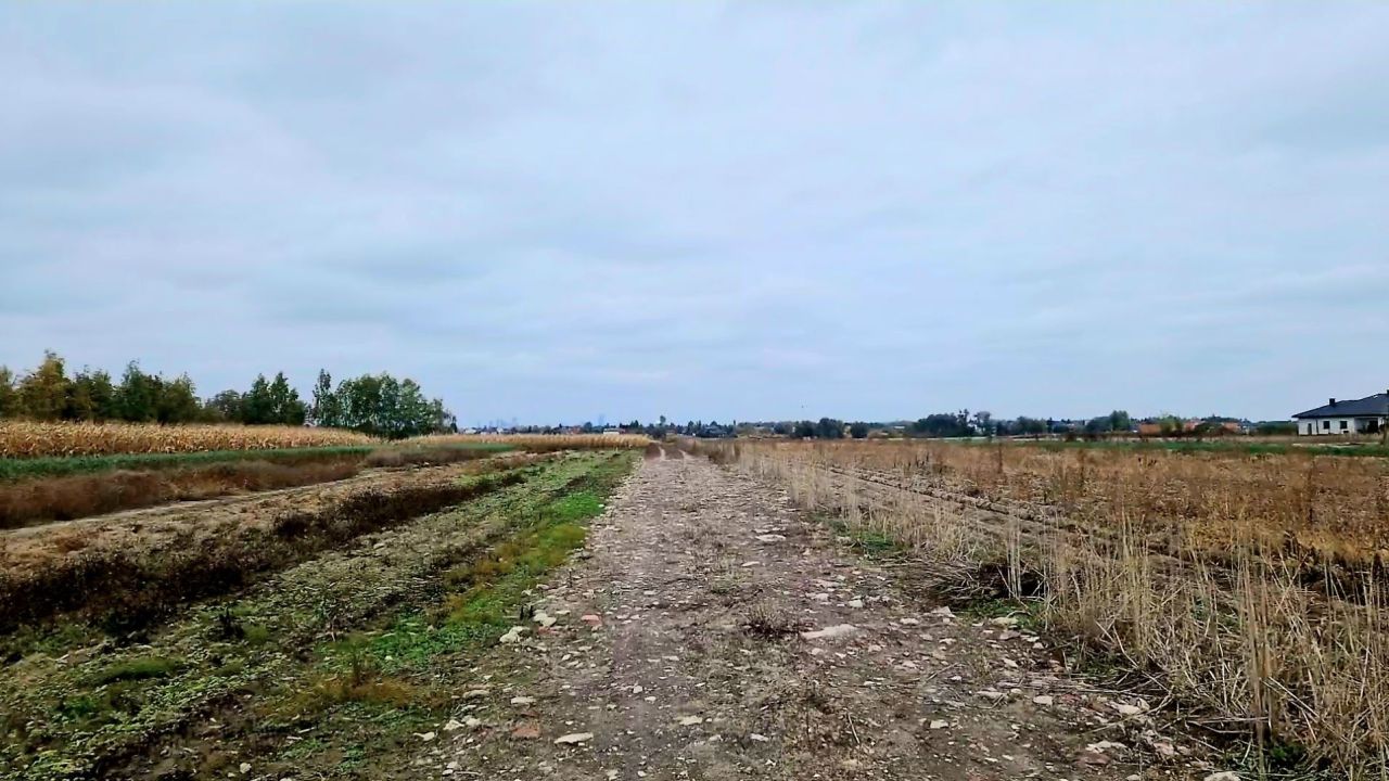 Działka budowlana Falenty Nowe. Zdjęcie 3