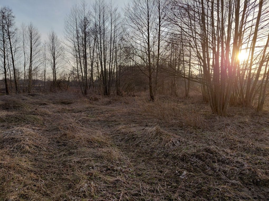Działka rekreacyjna Wola Jabłońska. Zdjęcie 6
