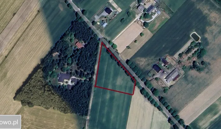 Działka rolno-budowlana Buczek