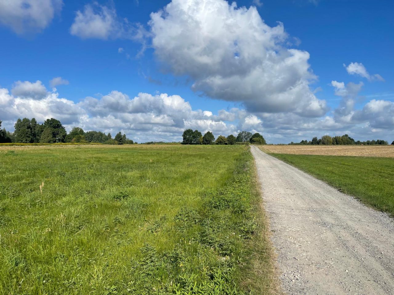 Działka budowlana Łąki. Zdjęcie 18