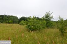 Działka budowlana Starbienino. Zdjęcie 1