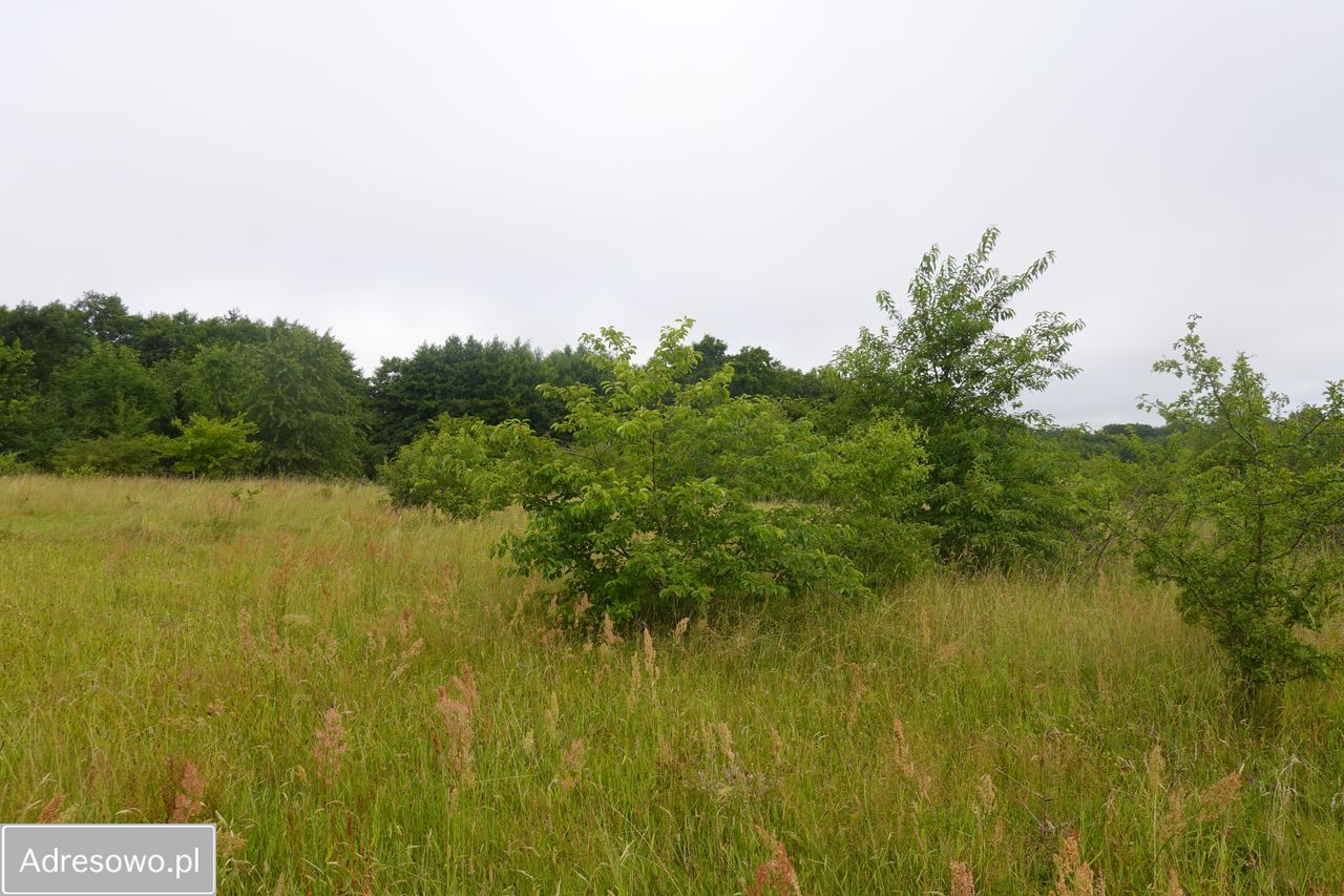 Działka budowlana Starbienino. Zdjęcie 2