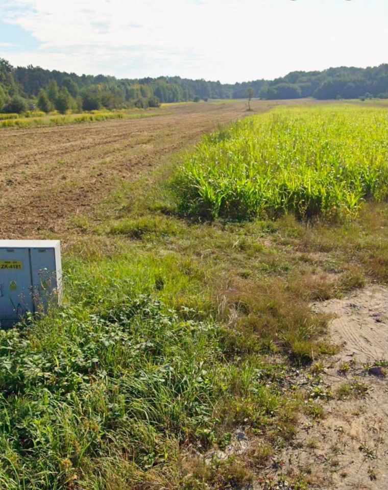 Działka inwestycyjna Biadoliny Szlacheckie. Zdjęcie 1