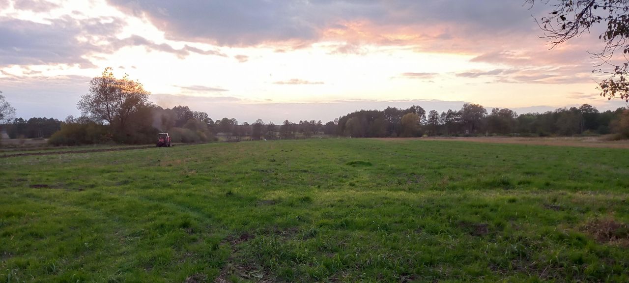 Działka siedliskowa Bukowa Mała. Zdjęcie 5