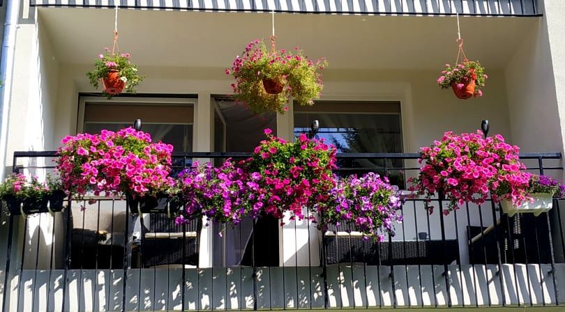 Mieszkanie 3-pokojowe Świeradów-Zdrój, ul. J. Korczaka. Zdjęcie 3