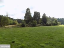 Działka siedliskowa Piękocin. Zdjęcie 1