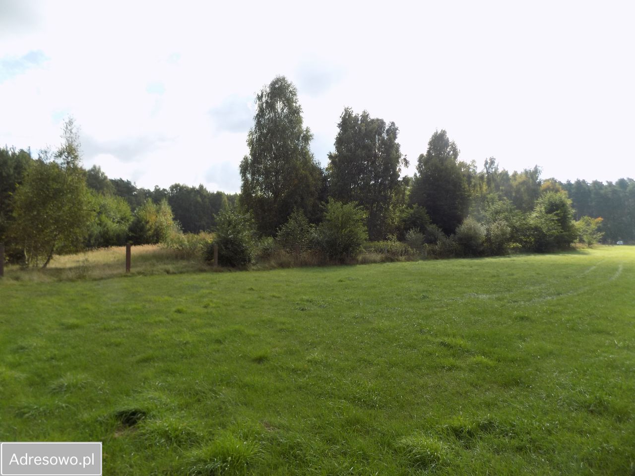 Działka siedliskowa Piękocin. Zdjęcie 2