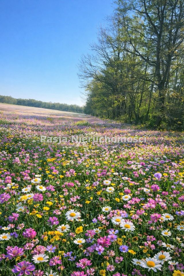 Działka budowlana Bądkowo Kościelne. Zdjęcie 2
