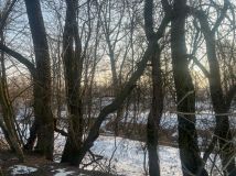 Działka rolna Jadowniki. Zdjęcie 3