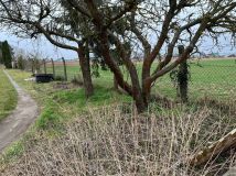 Działka rod Międzychód, ul. Napoleona Rutkowskiego. Zdjęcie 3