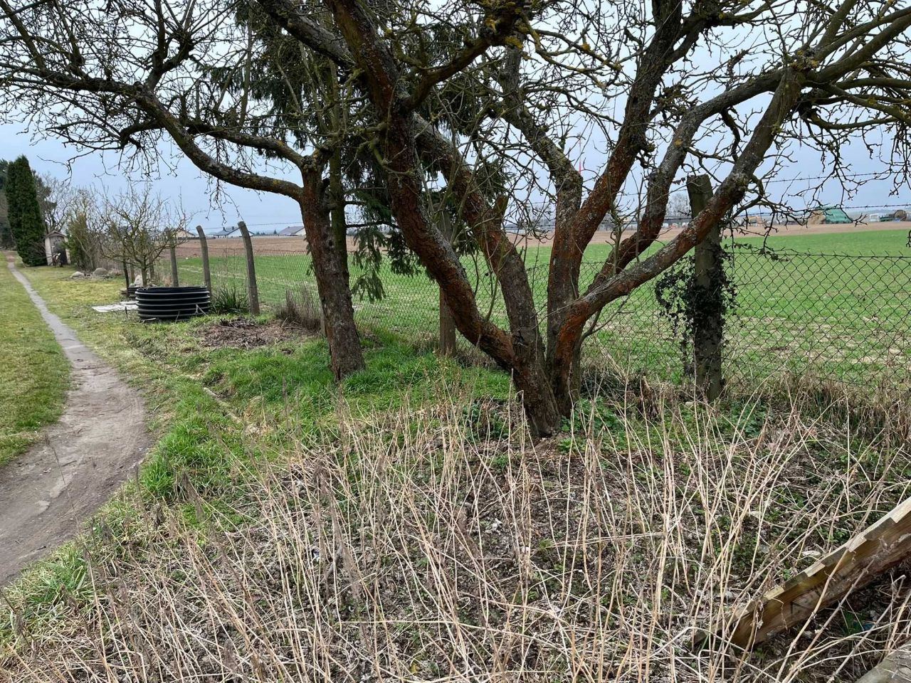 Działka rod Międzychód, ul. Napoleona Rutkowskiego. Zdjęcie 4