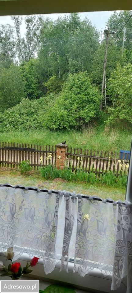 dom wolnostojący, 4 pokoje Złotowo. Zdjęcie 11