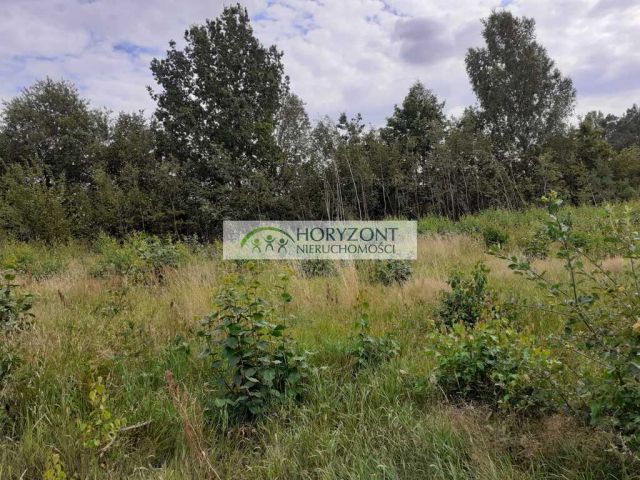 Działka budowlana Mściszewice. Zdjęcie 10