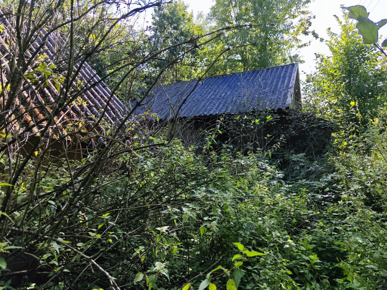 Działka rolno-budowlana Święcany. Zdjęcie 20