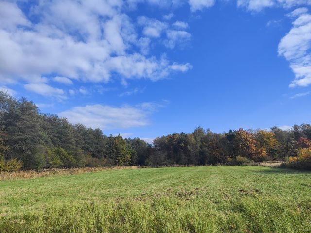 Działka rolna Kraków Dębniki, ul. Aleksandra Brücknera. Zdjęcie 1