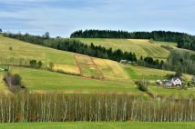 Działka budowlana Lipnica Wielka Żebraczka. Zdjęcie 3