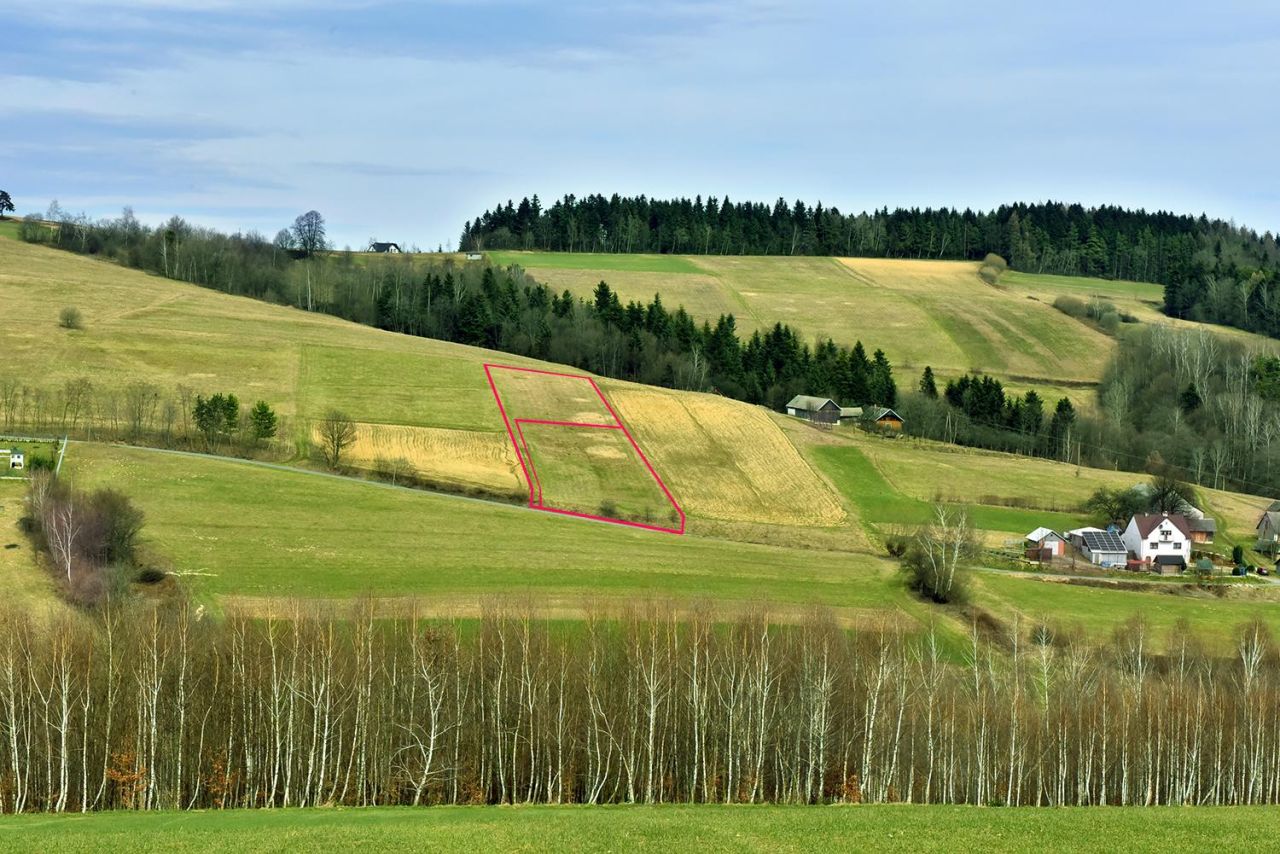 Działka budowlana Lipnica Wielka Żebraczka. Zdjęcie 4