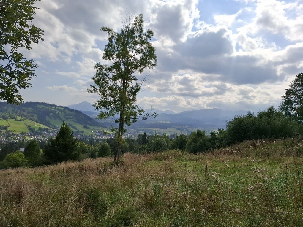 Działka budowlana Biały Dunajec Tatary. Zdjęcie 3