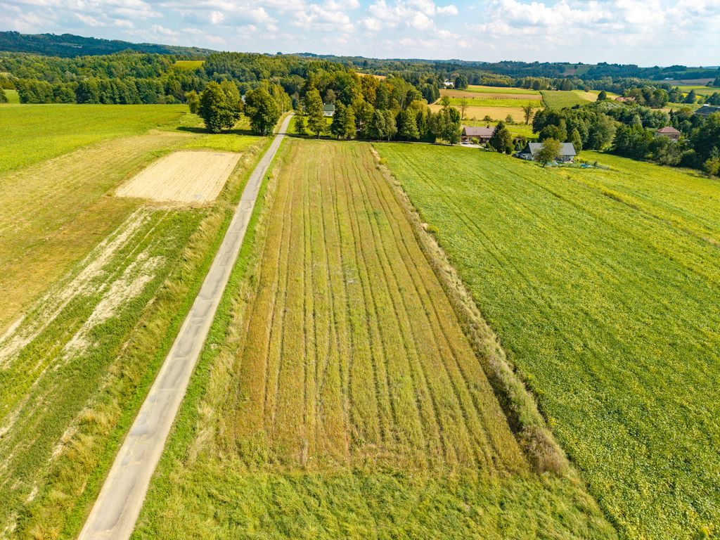 Działka budowlana Korczyna, ul. Wierzbowa. Zdjęcie 7