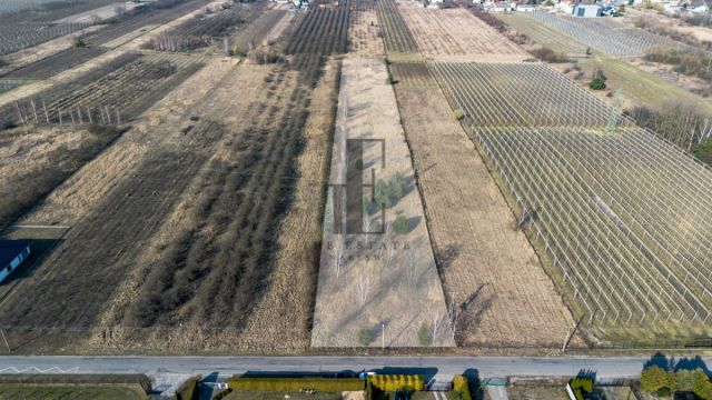 Działka rolna Warka, ul. Wichradzka. Zdjęcie 1