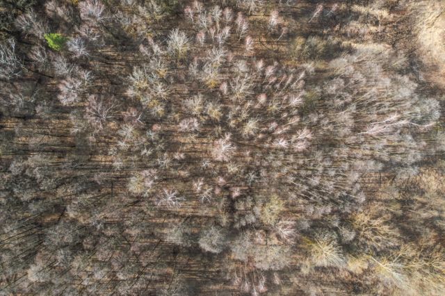 Działka budowlana Słupno, ul. Cypriana Kamila Norwida. Zdjęcie 5