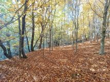 Działka rolna Tuchów. Zdjęcie 2