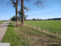 Działka budowlana Radomin. Zdjęcie 2